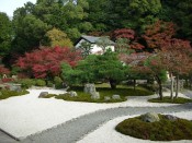 金戒光明寺「紫雲の庭」の紅葉