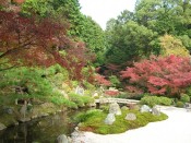 金戒光明寺「紫雲の庭」の紅葉