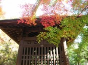 蓮華寺の鐘楼と紅葉