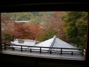 瑠璃光院の紅葉