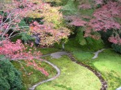 瑠璃光院「瑠璃の庭」の紅葉