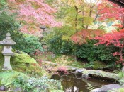 瑠璃光院「臥龍の庭」の紅葉