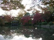 京都府立植物園の紅葉