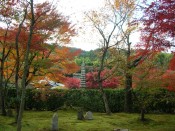 秋の化野念仏寺の紅葉と苔の絨毯