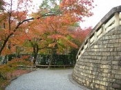 化野念仏寺境内色づく紅葉