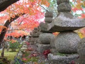 紅葉・化野念仏寺