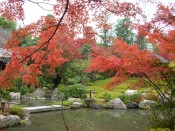 退蔵院の庭園「余香苑」の紅葉