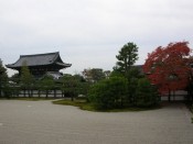 仁和寺の南庭と二王門と紅葉