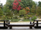 仁和寺の北庭の紅葉