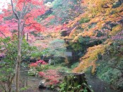 南禅院庭園の曹源池と紅葉