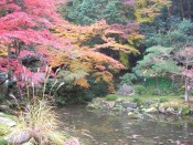 南禅院庭園の曹源池と紅葉