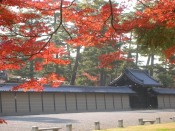 京都御所と紅葉