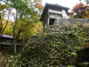 古知谷阿弥陀寺