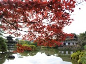 平安神宮神苑の栖鳳池と紅葉