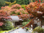 古知谷阿弥陀寺の紅葉