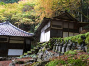 古知谷阿弥陀寺の紅葉