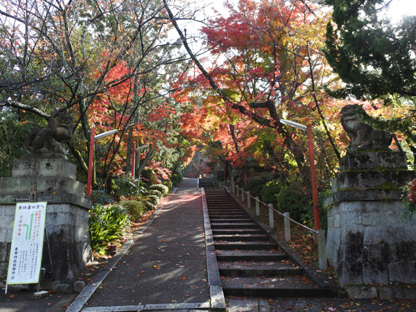 粟田神社参道の紅葉