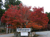 古知谷阿弥陀寺の紅葉