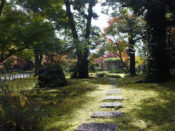 城南宮「平安の庭」の紅葉