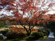 城南宮「室町の庭」の紅葉