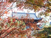 萬福寺の三門と紅葉