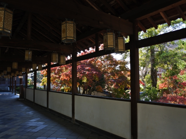 萬福寺の回廊と紅葉