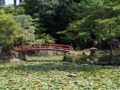 大原野神社「鯉沢の池」