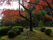 松花堂庭園の紅葉