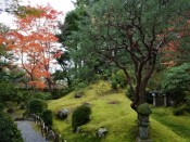 松花堂庭園の紅葉