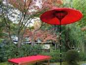 松花堂庭園の野点と紅葉