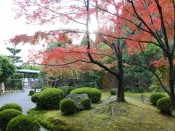 松花堂庭園の紅葉