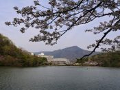 宝が池と国立京都国際会館と比叡山と桜