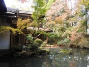 長楽寺「相阿弥作の庭園」からの紅葉