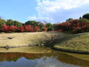 梅小路公園朱雀の庭の紅葉