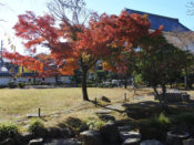 勝竜寺城公園の紅葉