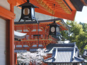 八坂神社南楼門と桜