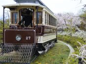 梅小路公園チンチン電車と桜
