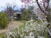梅小路公園チンチン電車と京都タワーと桜