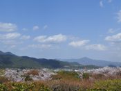 大河内山荘から見た比叡山と桜