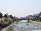 三条大橋から見た鴨川と桜