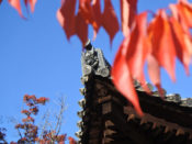 広隆寺の紅葉