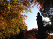 観世音菩薩と紅葉