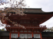 下鴨神社楼門と桜
