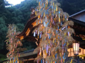 多くの短冊が付けられている