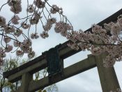 桜・豊国神社