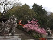 建勲神社の狛犬