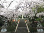 桜・建勲神社