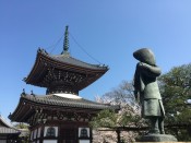 本法寺多宝塔と長谷川等伯像と桜