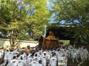 青蓮院門跡の四脚門からお神輿が入る