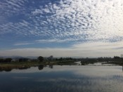 京都市内で一番長い川